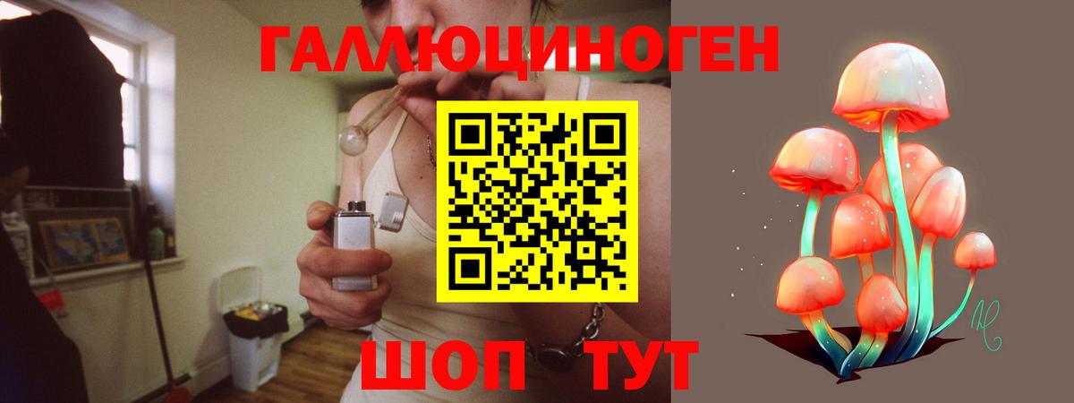 Псилоцибиновые грибы ЛСД  Вход с VPN  Моршанск 